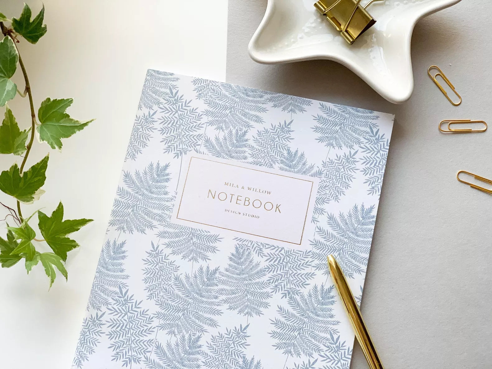 Carnet blanc et bleu