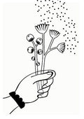 Carte à planter - Bouquet de fleurs | Cité Candide