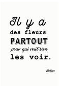 Carte à planter - Il y a des fleurs partout ... | Cité Candide
