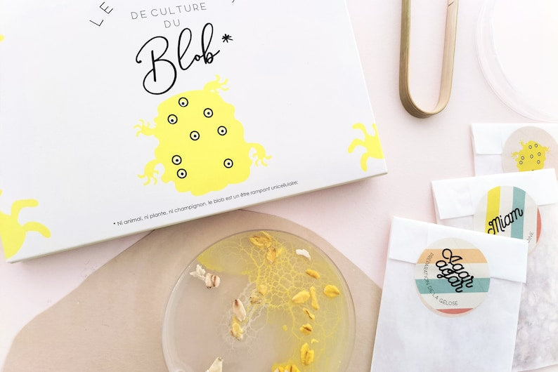 Petit Kit de Culture de Blob - Pamela Loops
