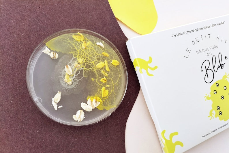 Kit culture de Blob - Pamela Loops