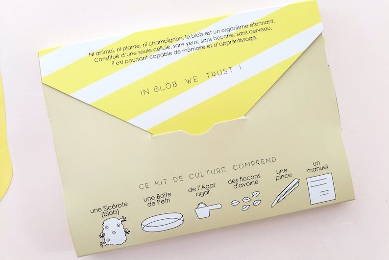Petit Kit de Culture de Blob