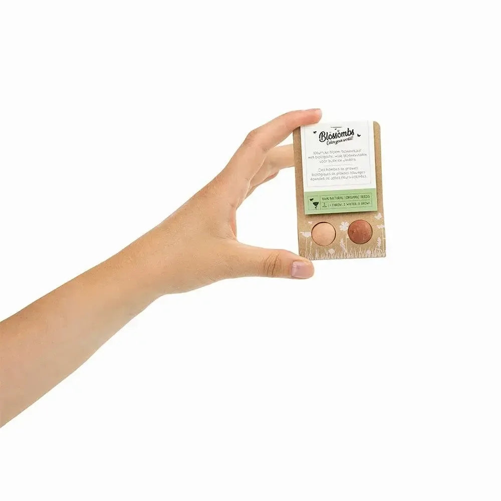 Petit cadeau à offrir - 2 bombes à graines