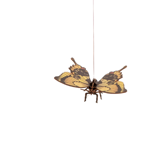 Carte postale 3D à monter - Papillon