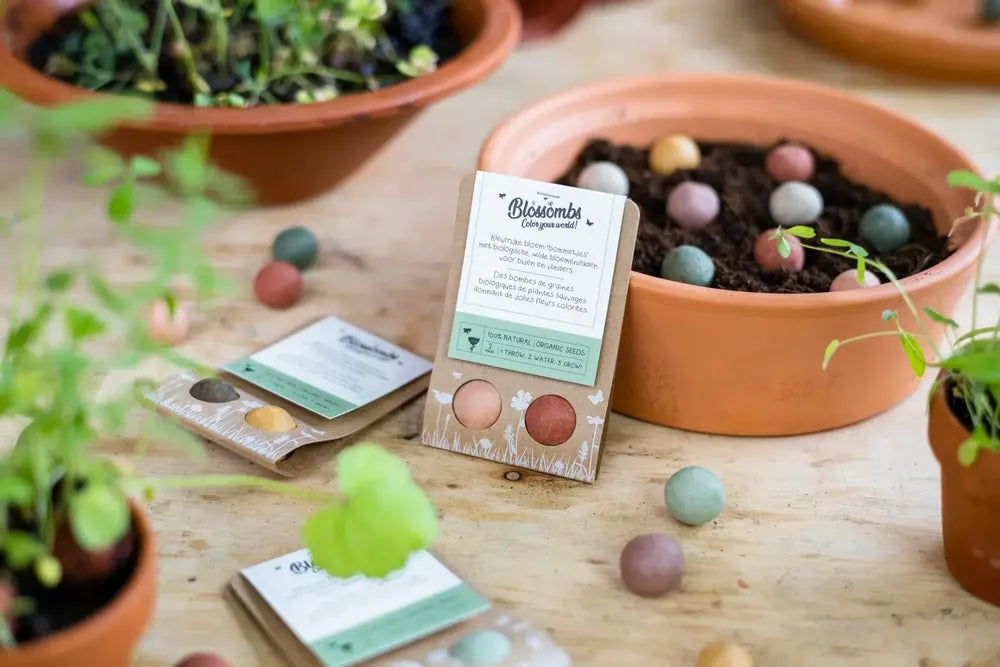 Petit cadeau à offrir - 2 bombes à graines