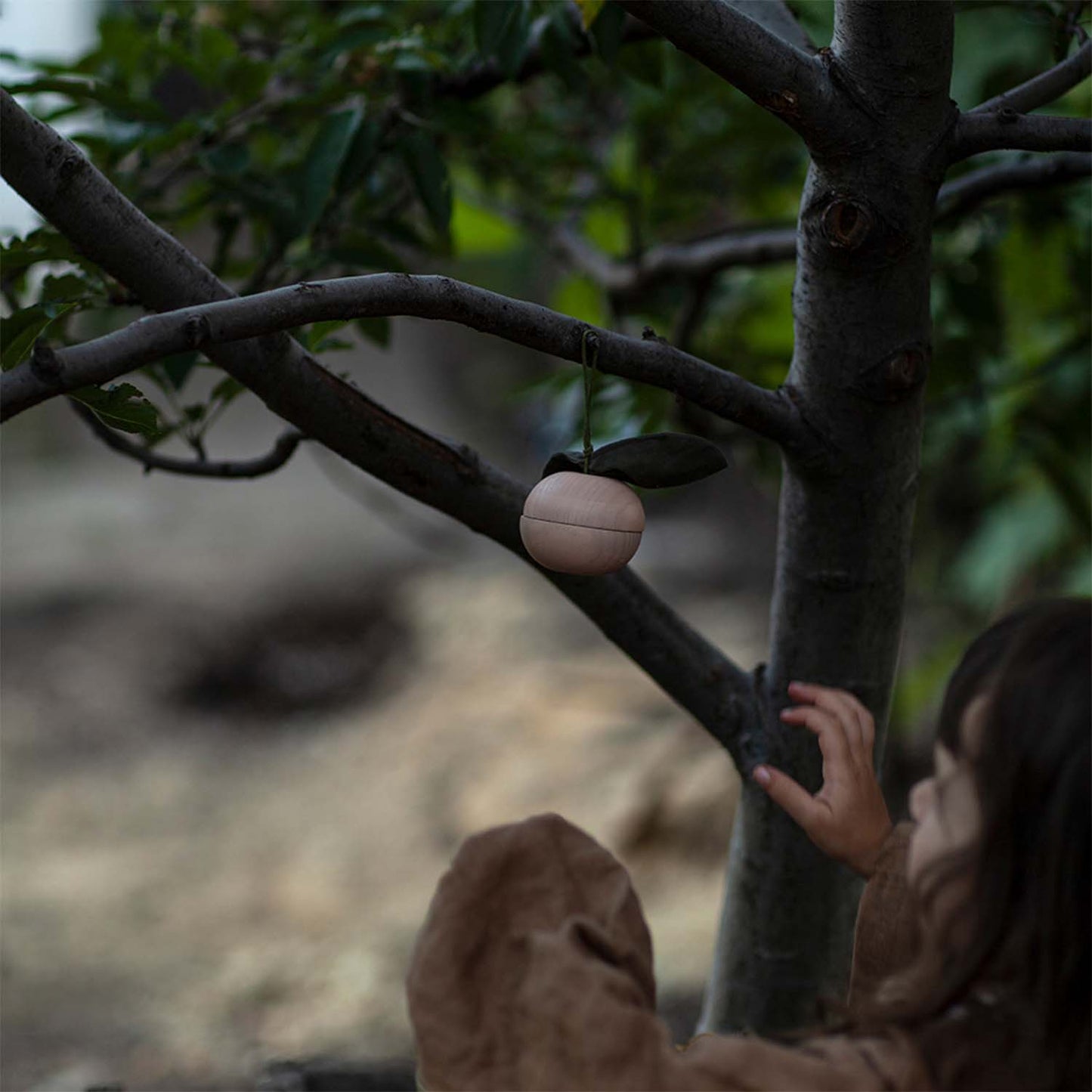 Jeu d'histoire Pomme et son petit ami
