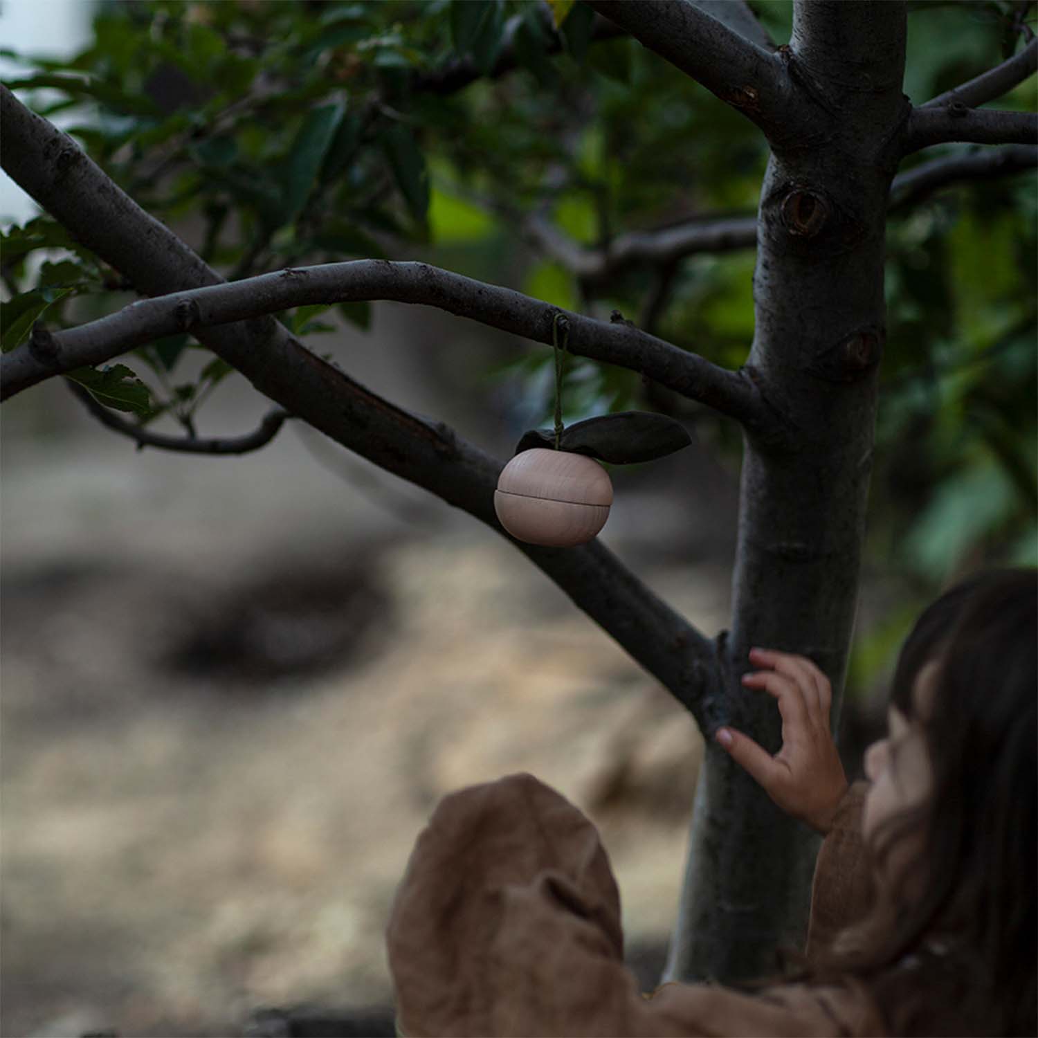 Jeu d'histoire en bois - Pomme et son petit ami