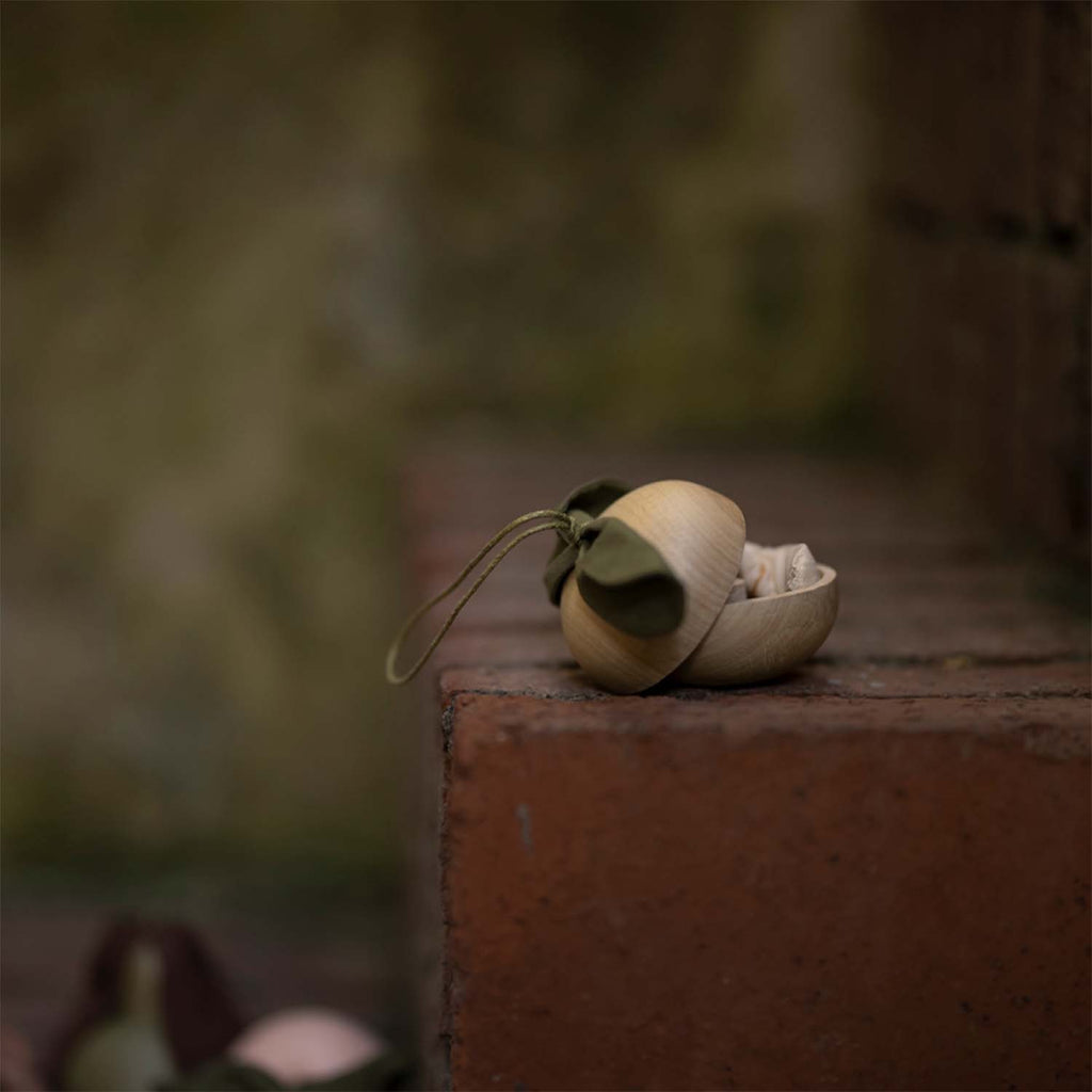 Jeu d'histoire en bois - Pomme et son petit ami