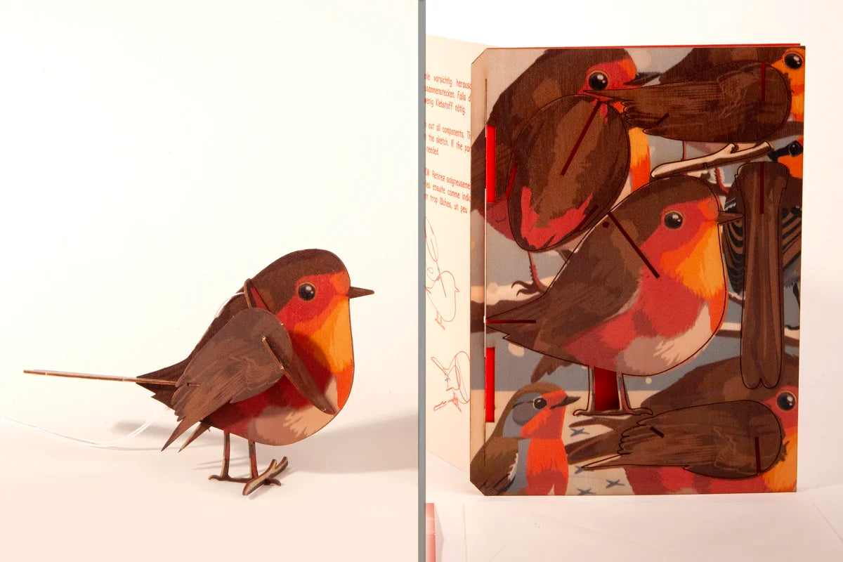 Carte postale 3D à monter - Rouge-gorge